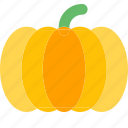pumpkin, holiday, halloween