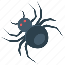 halloween spider, spider, web spider, scary, dreadful, fearful, horrible