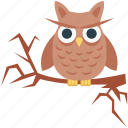 halloween owl, scary, dreadful, fearful, horrible, owl