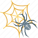 spider web, dreadful, horrible, scary, halloween web, ghastly web, fearful