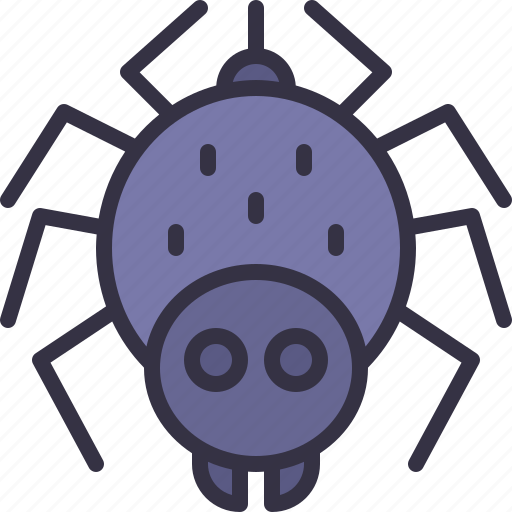 Spider, entomology, bug, halloween, animals icon - Download on Iconfinder