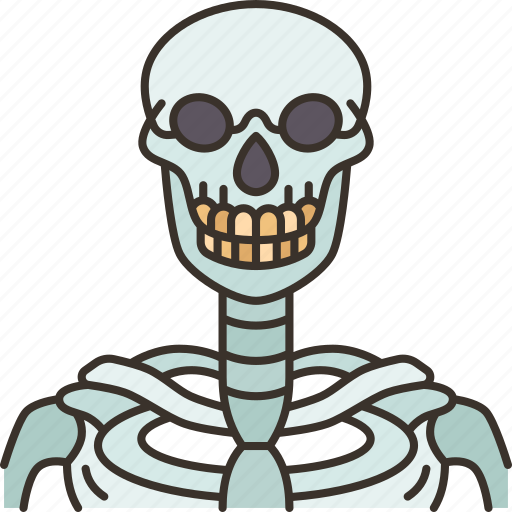 Skeleton, bones, anatomy, spooky, halloween icon - Download on Iconfinder