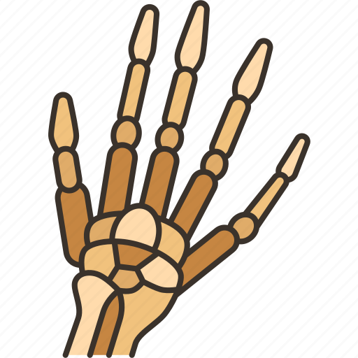 Skeleton, hands, bones, anatomy, spooky icon - Download on Iconfinder