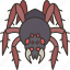 spider, arachnid, web, insect, creepy 
