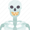 skeleton, bones, anatomy, spooky, halloween