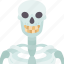 skeleton, bones, anatomy, spooky, halloween 