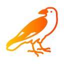 crow, halloween, danger