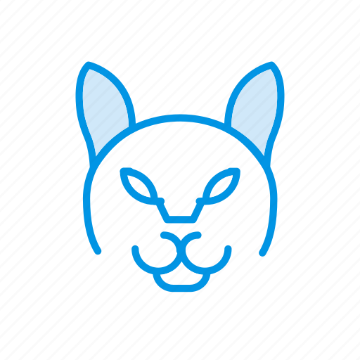 Andry, animal, clown, halloween icon - Download on Iconfinder