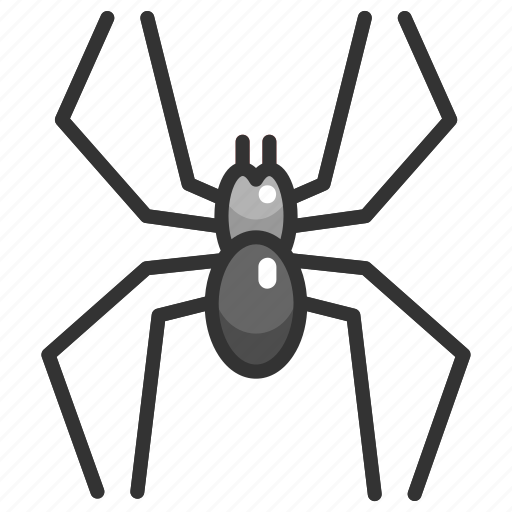 Animals, arachnid, bug, halloween, insect, spider icon - Download on Iconfinder