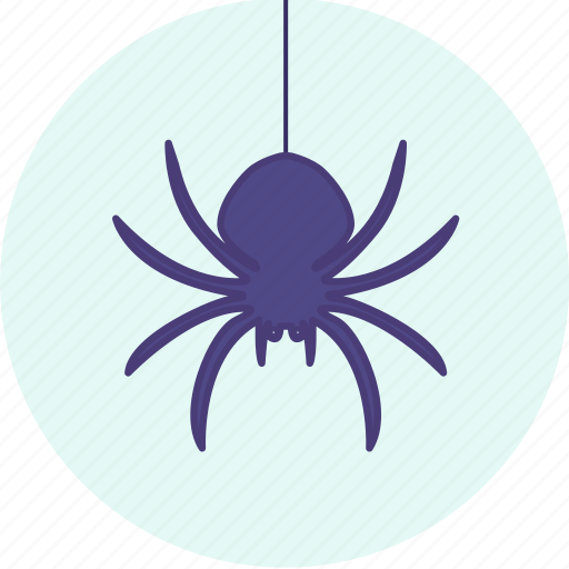 Carnival, event, festive, halloween, party, spider icon - Download on Iconfinder