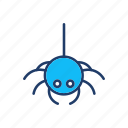 bug, halloween, insect, spider