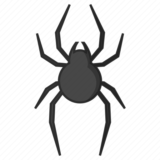 Spider, web, halloween icon - Download on Iconfinder
