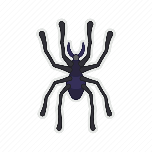 Bug, halloween, poison, spider icon - Download on Iconfinder