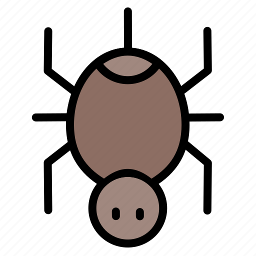 Halloween, horror, scary, skull, spider, spooky, terror icon - Download on Iconfinder
