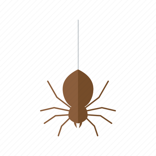 Brown, halloween, insect, scary, spider, thread, web icon - Download on Iconfinder