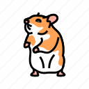 hamster, standing, color, cute, animal, funny