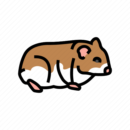 Hamster, standing, pet, cute, animal, funny icon - Download on Iconfinder