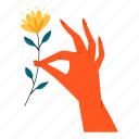 hand, holding, flower, giving, fingers, touch, gesture, plant, floral