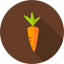 carrot, farm, food, nature, organic, spring, vegetarian 