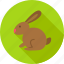 animal, bunny, domestic, easter, farm, nature, rabbit 
