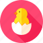 bird, chick, chicken, egg, eggshell, farm, hen 