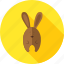 animal, bunny, easter, farm, holiday, rabbit, seasonal 