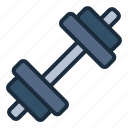 dumbell, barbell, gym, sport, healthy, lifestyle, exercise