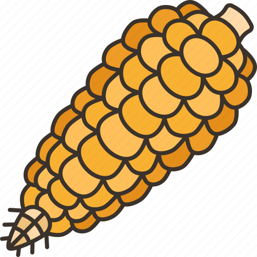 Maize, corn, farm, agriculture, vegetable icon - Download on Iconfinder