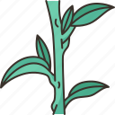 stalk, plant, stem, agriculture, nature