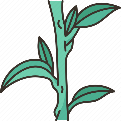 Stalk, plant, stem, agriculture, nature icon - Download on Iconfinder