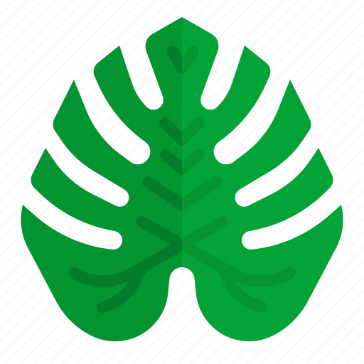 Hawaii, leaf, monstera, nature, tropical icon - Download on Iconfinder