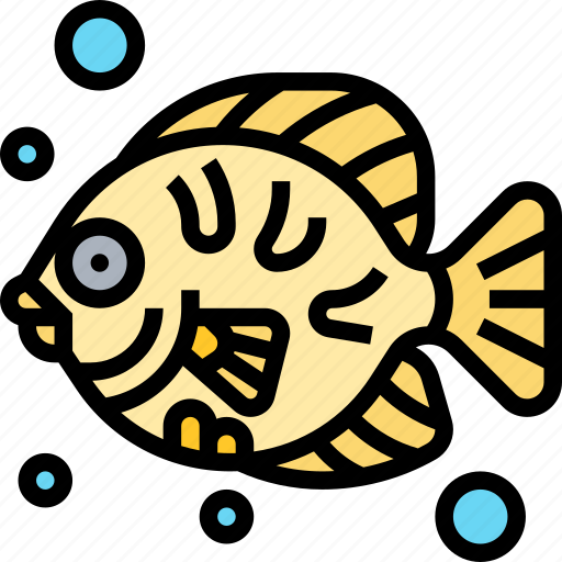 Fish, sea, animal, underwater, aquarium icon - Download on Iconfinder