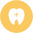anatomy, dental care, dentistry, human teeth, stomatology, teeth, tooth 