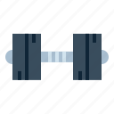 dumbbell, gym, healthy, sports, training