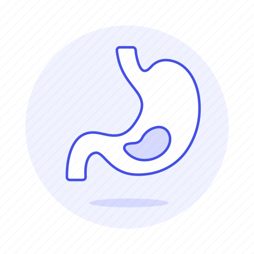 Condition, duodenum, esophagus, gastroenterology, health, intestine, medical icon - Download on Iconfinder