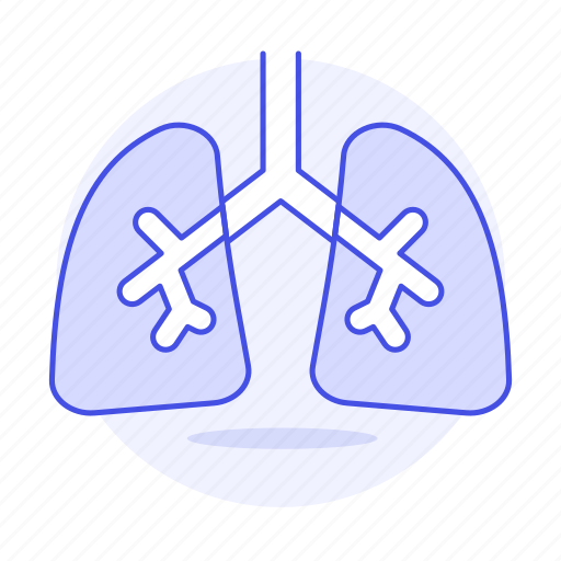 Bronchi, condition, health, lungs, medical, pulmonology, respiratory icon - Download on Iconfinder