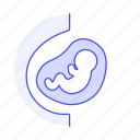 belly, development, fetus, gestation, health, offspring, pregnancy, pregnant