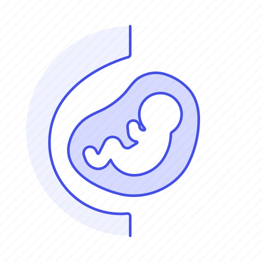 Belly, development, fetus, gestation, health, offspring, pregnancy icon - Download on Iconfinder