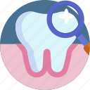 dental, health, illustration, medicine, pharmacy, prevention, tooth