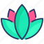 asia, flower, lotus, lotus flower, meditation, nature, spa 