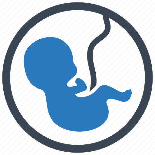 Maternity, mother, obstetrics, pregnancy, pregnant, prenatal, trimestr icon - Download on Iconfinder
