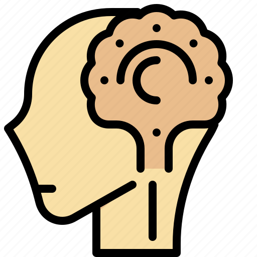 Brain, checkup, head, nervous, somatic, system icon - Download on Iconfinder