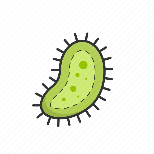 Bacteria, health, healthcare, medical, medicine, pharmacy icon - Download on Iconfinder