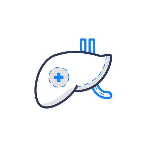 Emergency, health, healthcare, liver, medical, medicine, pharmacy icon - Free download
