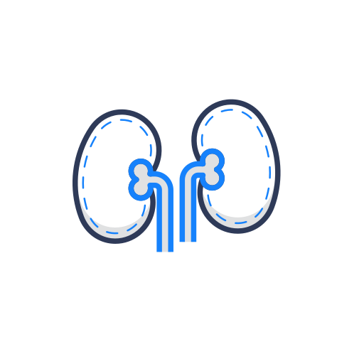 Emergency, health, healthcare, kidney, medical, medicine, pharmacy icon - Free download