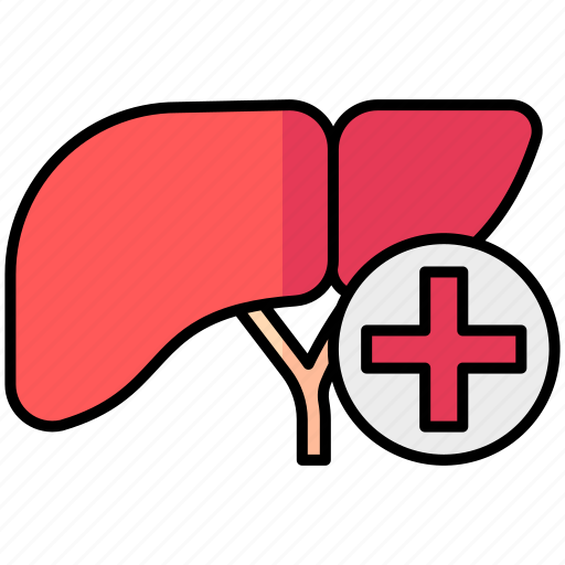 Hepatology, liver, medical, health icon - Download on Iconfinder