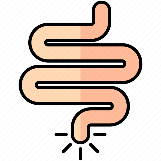 Intestine, stomach, organ, anatomy icon - Download on Iconfinder