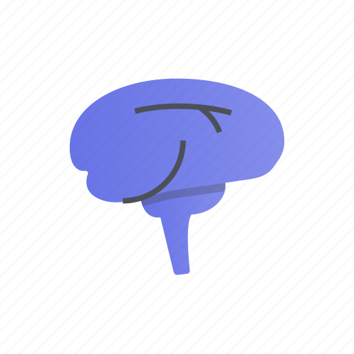 Brain, intelligence, mind, think icon - Download on Iconfinder