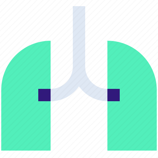 Anatomy, health, lungs, patient, respiratory icon - Download on Iconfinder