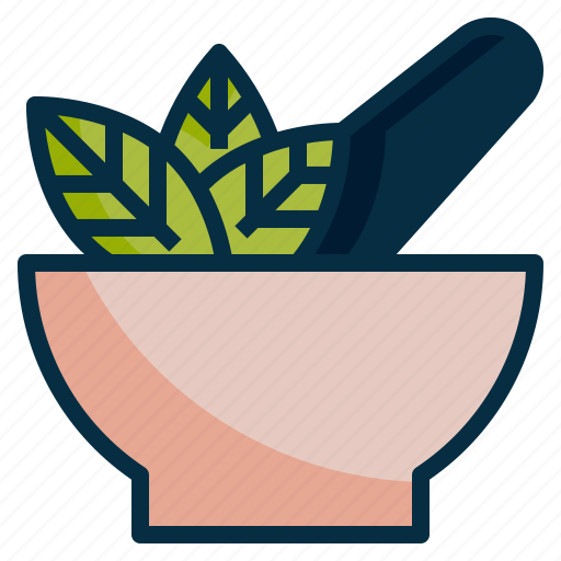 Health, herb, herbal, medicine, organic, treatment icon - Download on Iconfinder